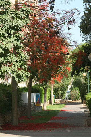 176426500.jpg