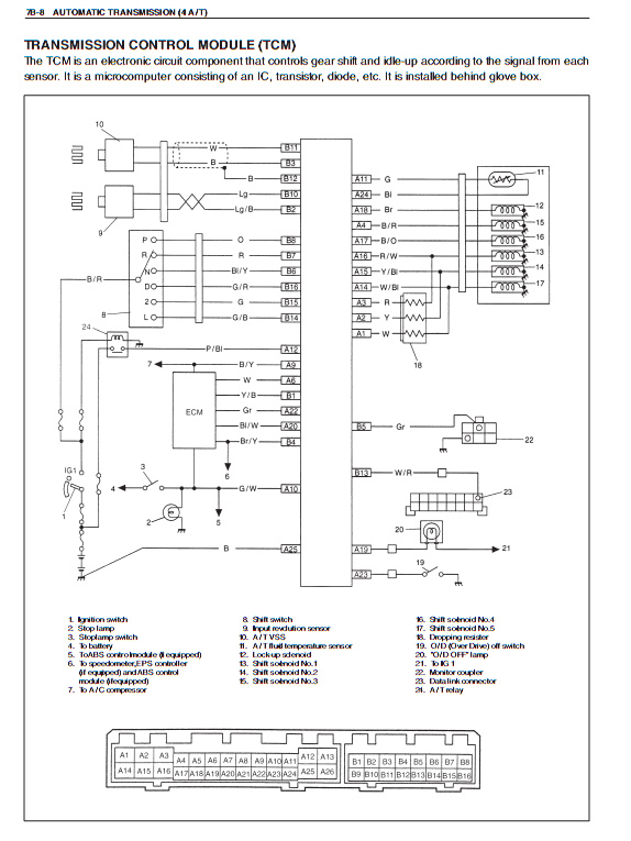 cd9e60d1b565.jpg