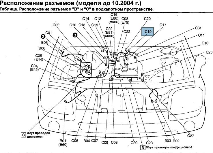 210531871.jpg