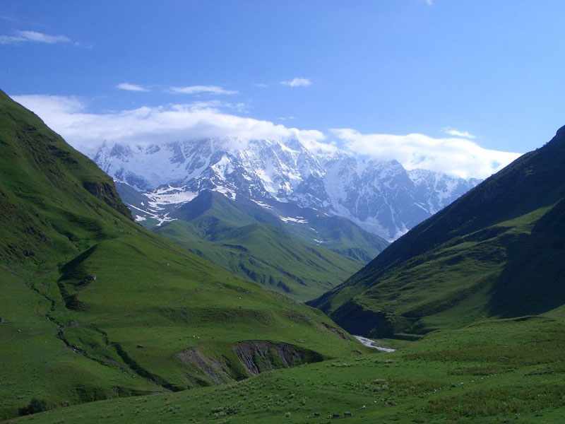 242547_900.jpg