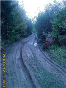 5d70d5cf228ct.jpg