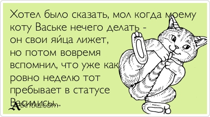 atkritka_1370712889_321.jpg