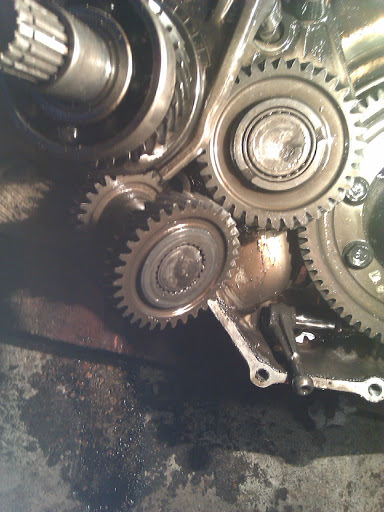 IMAG0291.jpg
