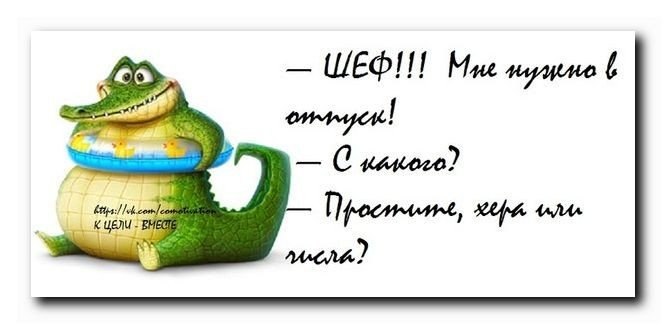 54tUJ3dCCB0.jpg