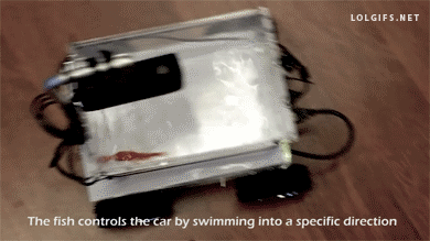 1392230908-fad3affb9db448e58c2b67b968e84a3f.gif