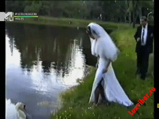 doc106582761_251619210?hash=e87b8956293c7536e2&dl=352276dcb45305093d&wnd=1.gif