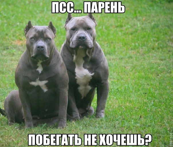 H6LJ3cKcNoc.jpg