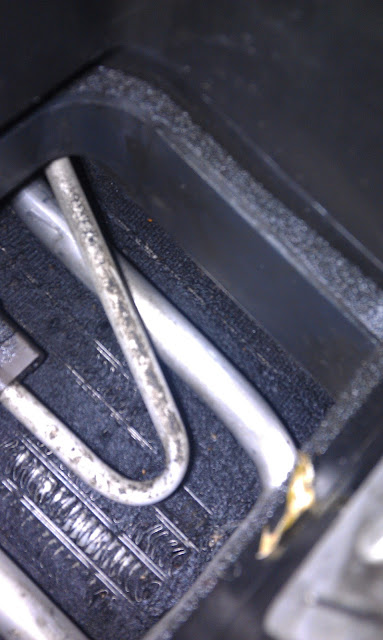 IMAG0267.jpg