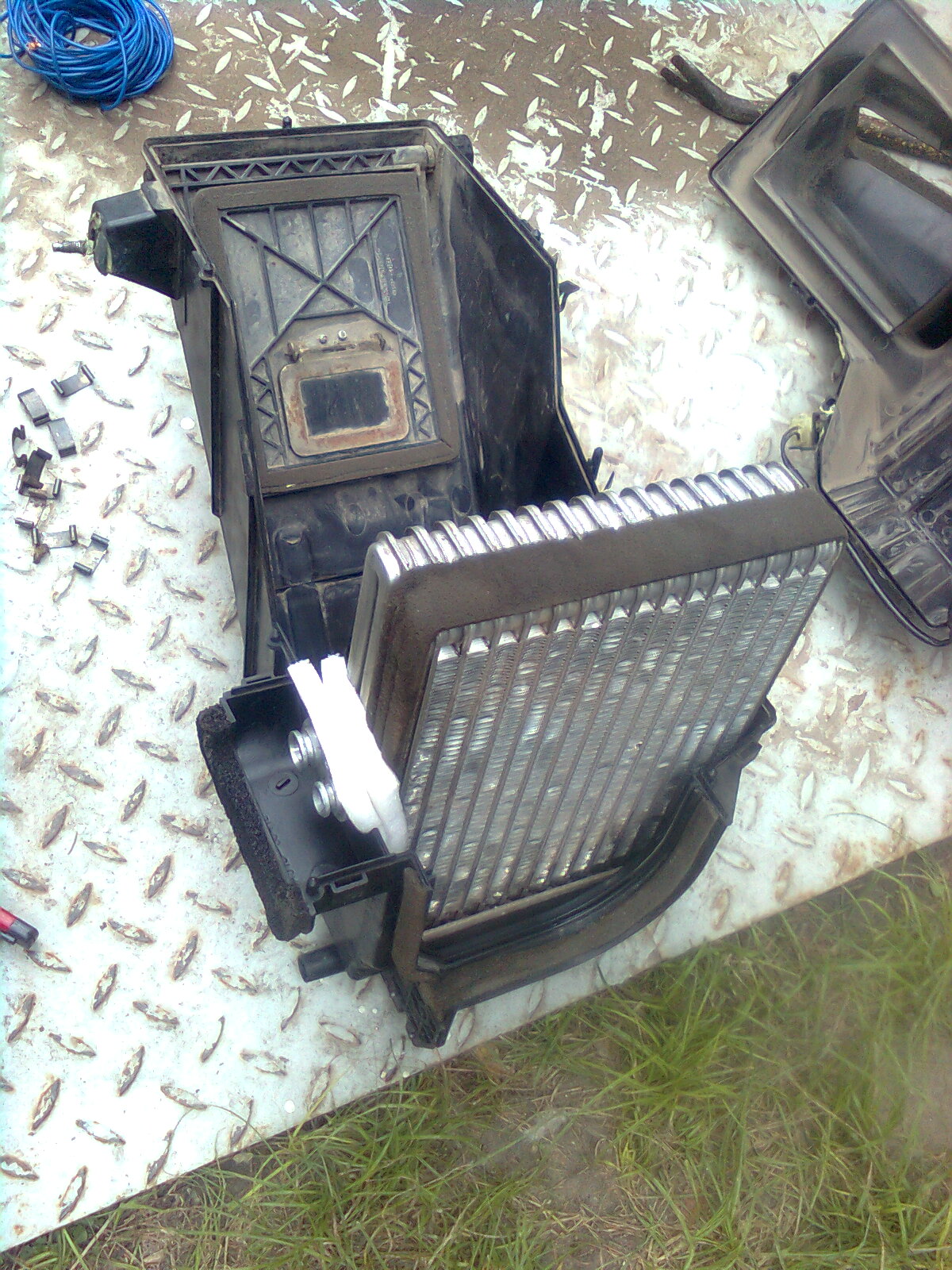 p1.jpg