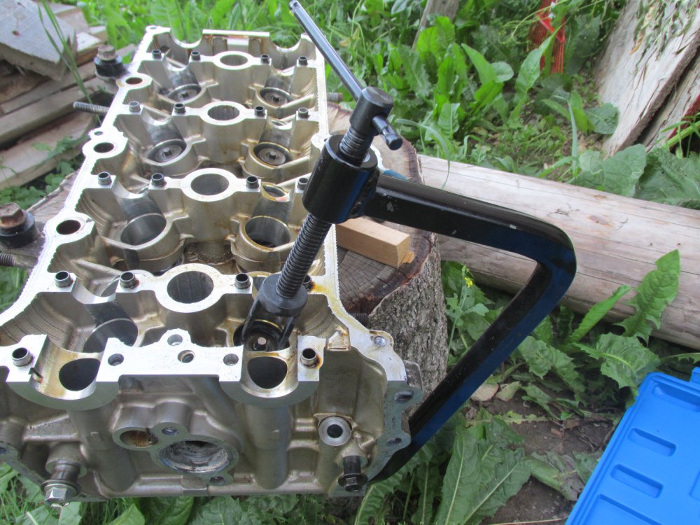 64811.jpg