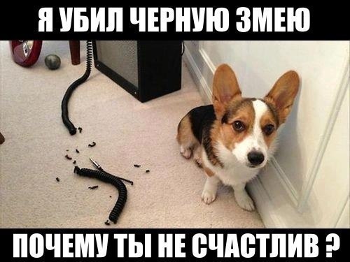 Gu4FJDVeZGM.jpg