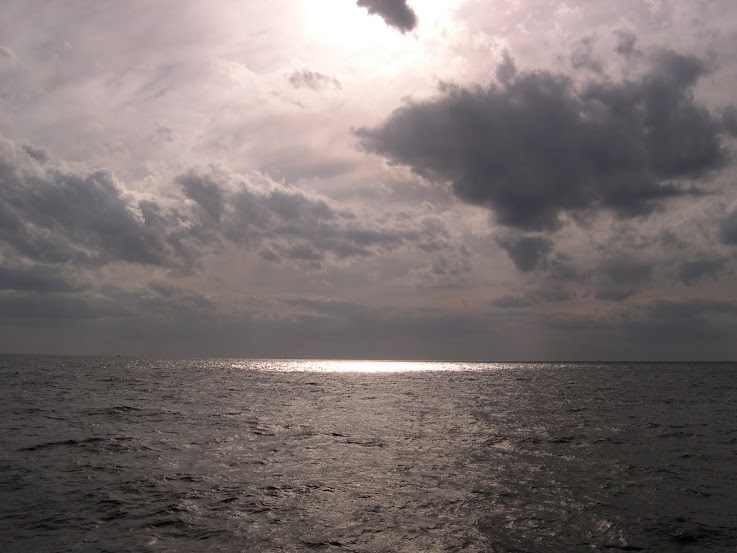 DSCN1718.jpg
