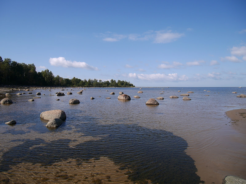 P1050802.jpg