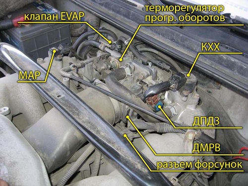 0_cd2d9_fd613dca_L.jpg