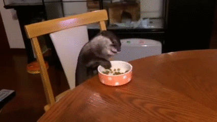 30266323964662_33gif6.gif