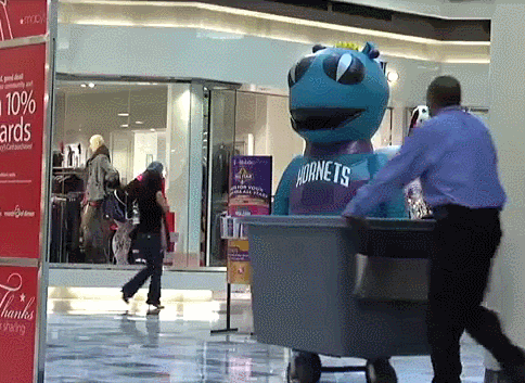 10708559.gif