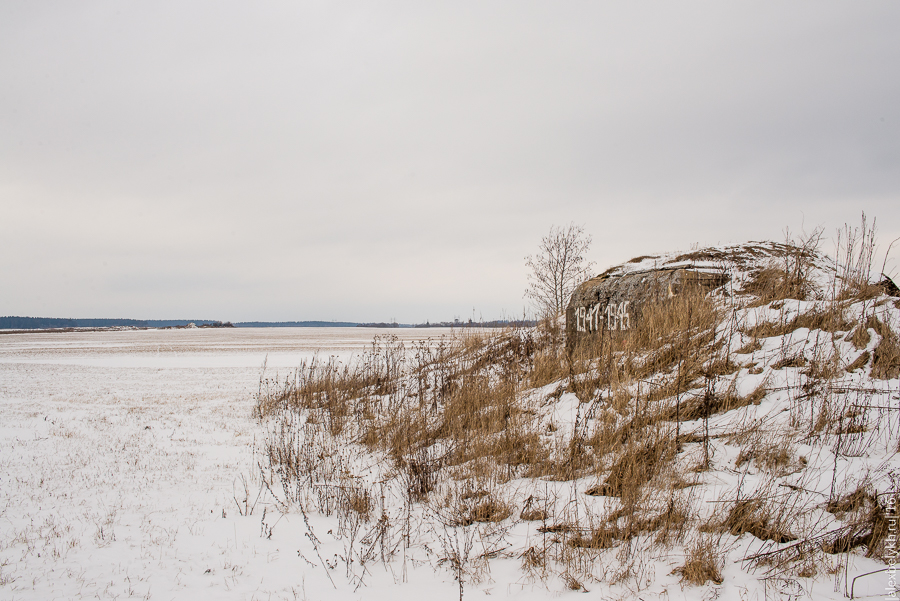 0_154019_f2b14d6d_orig.jpg