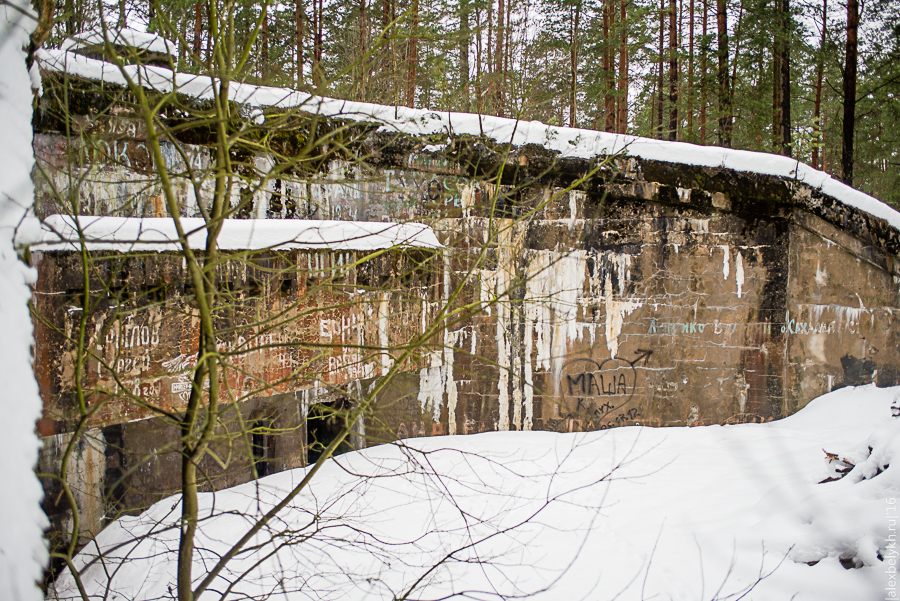 0_155849_81861a6a_orig.jpg