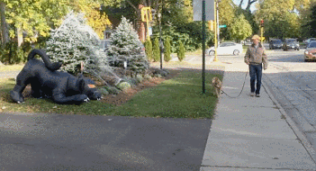 0_1ef170_b7fa73d7_orig.gif