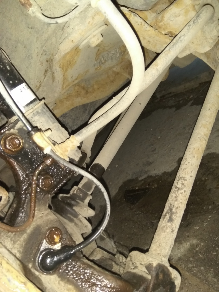 d417d91781db.jpg