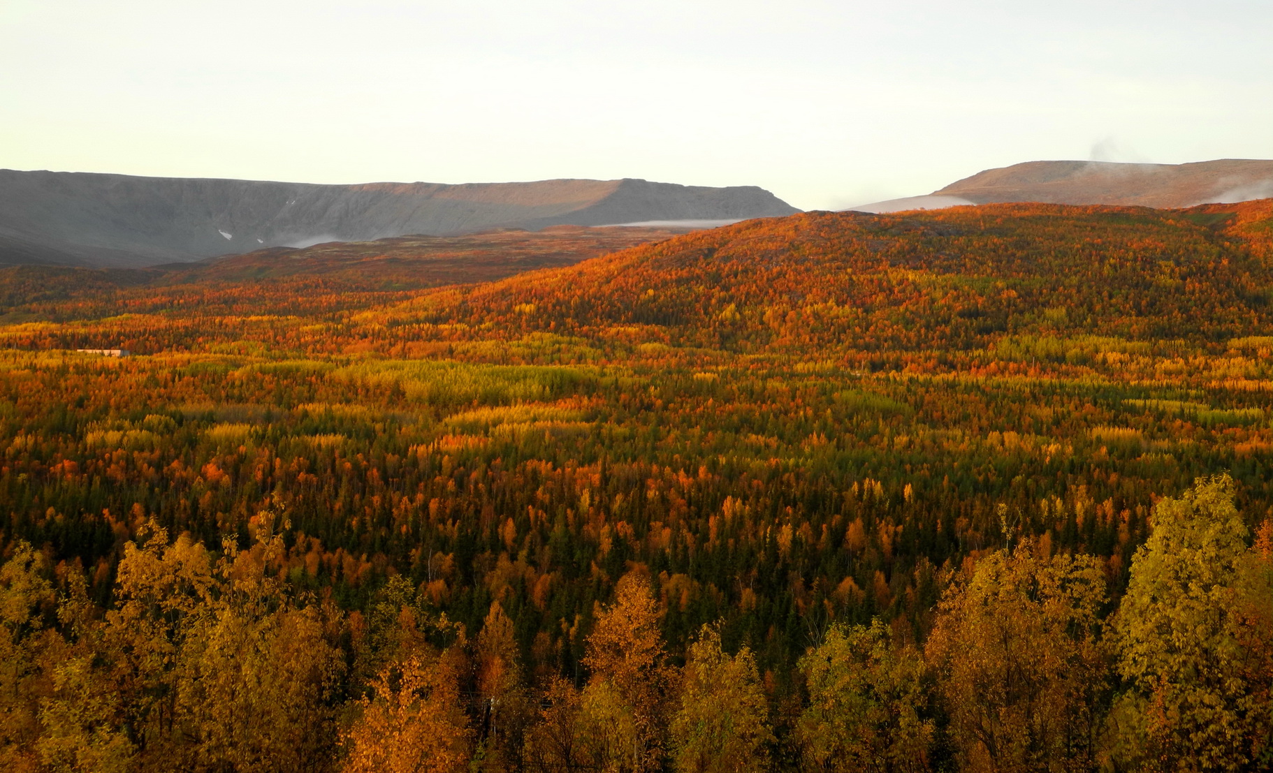 DSCN5951.JPG