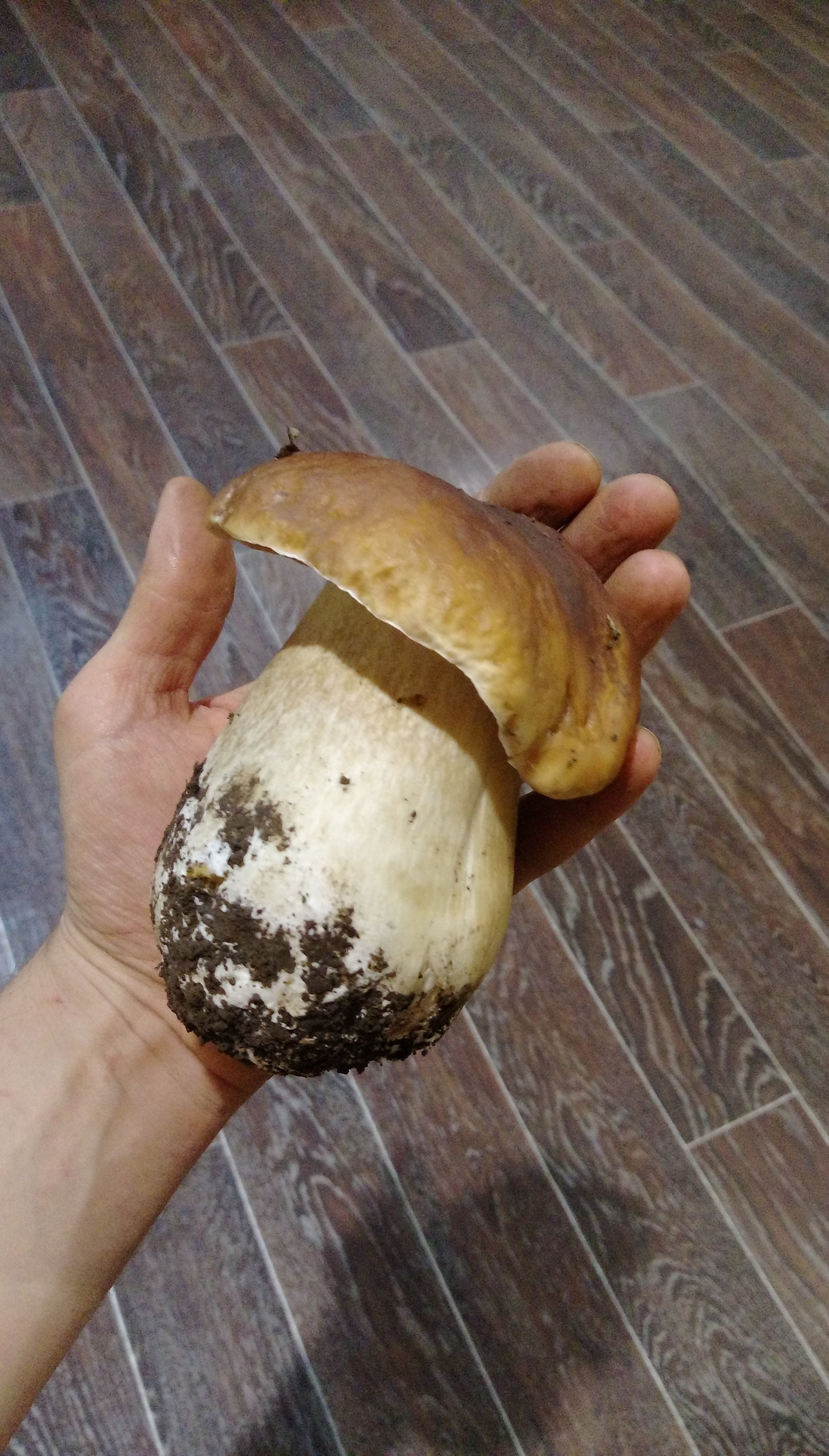 IMAG2260.jpg