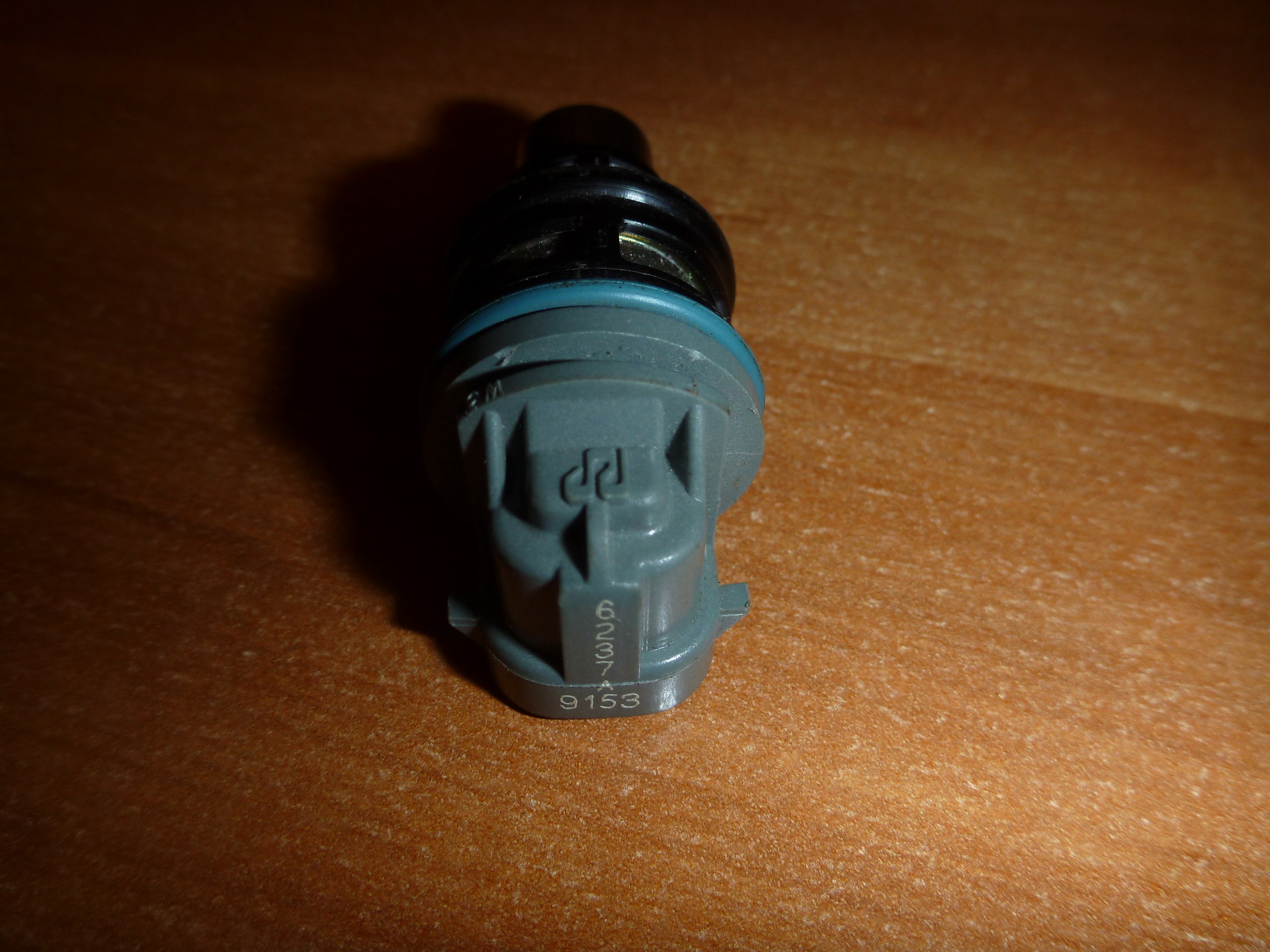 P1210730.JPG
