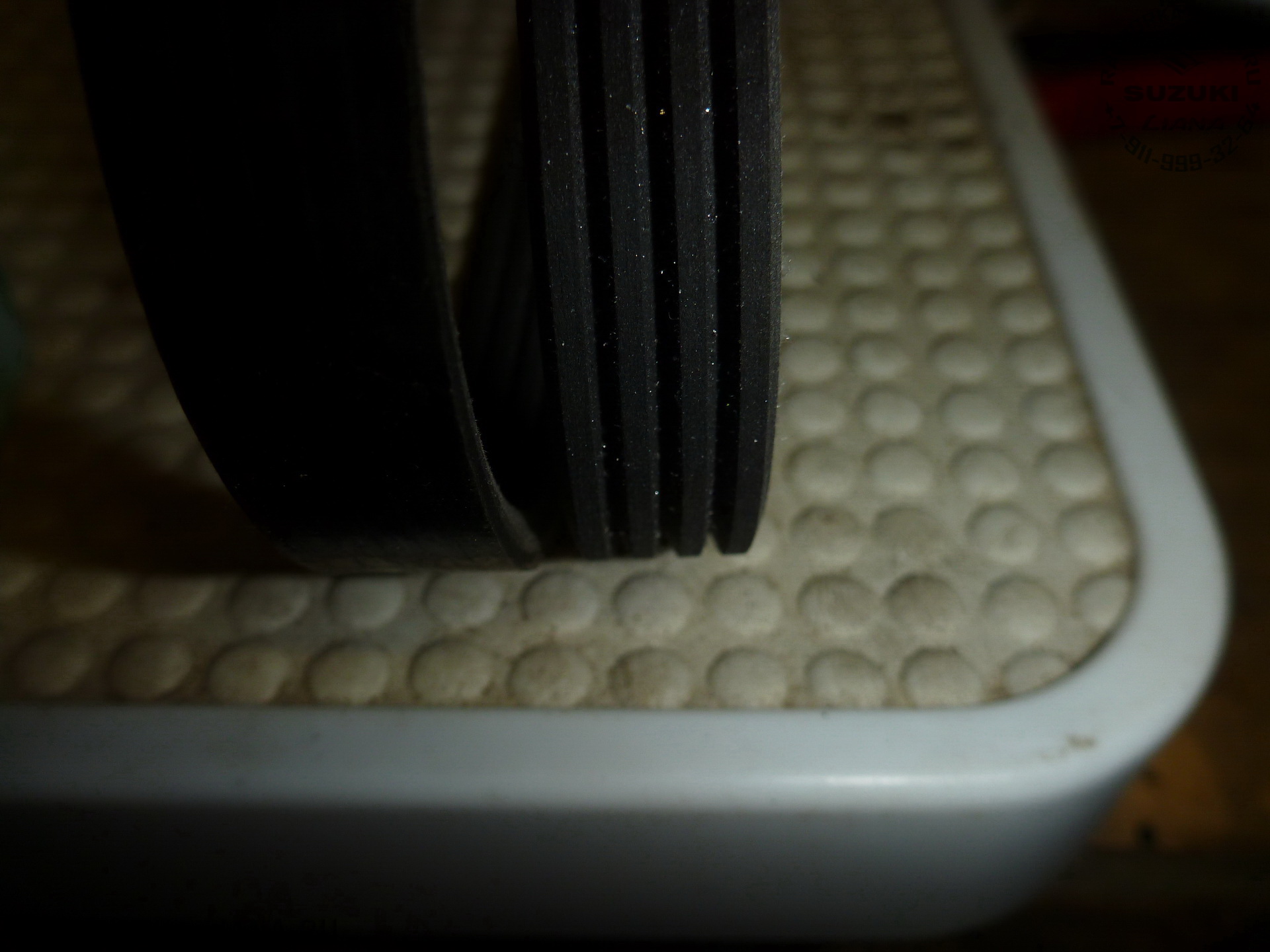 P1210971.JPG