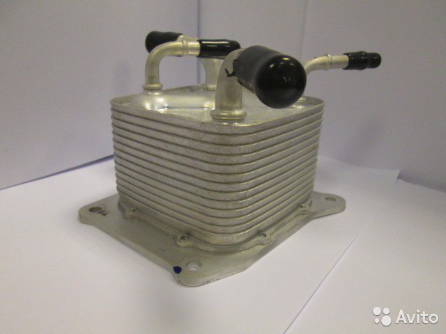 1833806644.jpg
