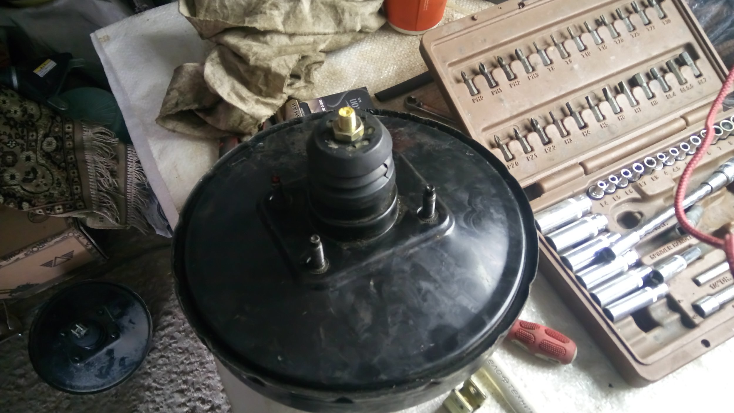 DSC_1497.JPG