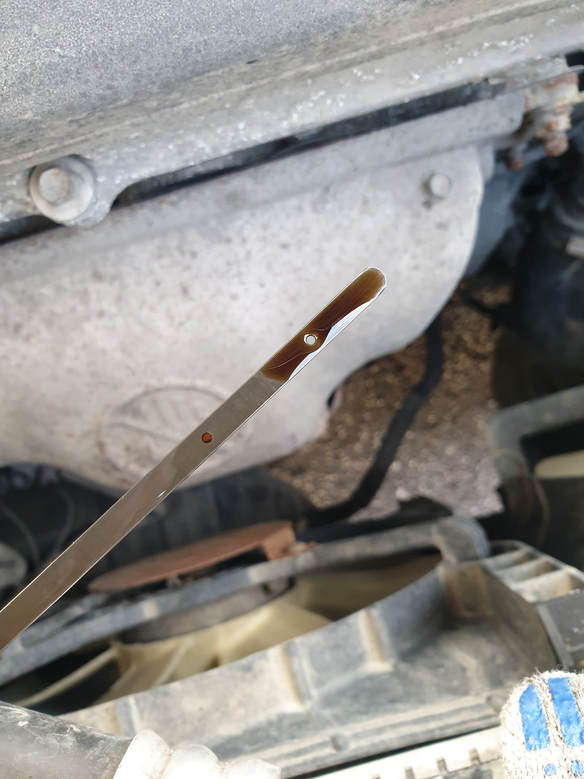 20191130_124238.jpg