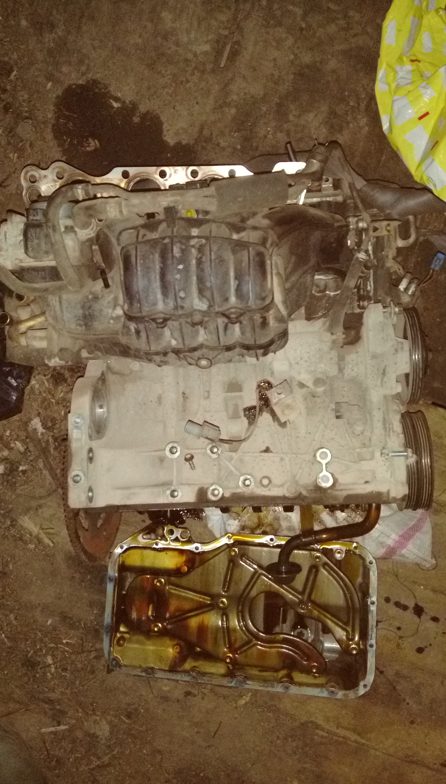 IMAG5445.jpg