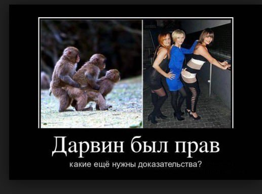 11812081c0cfab5481dd083ec17a.jpg