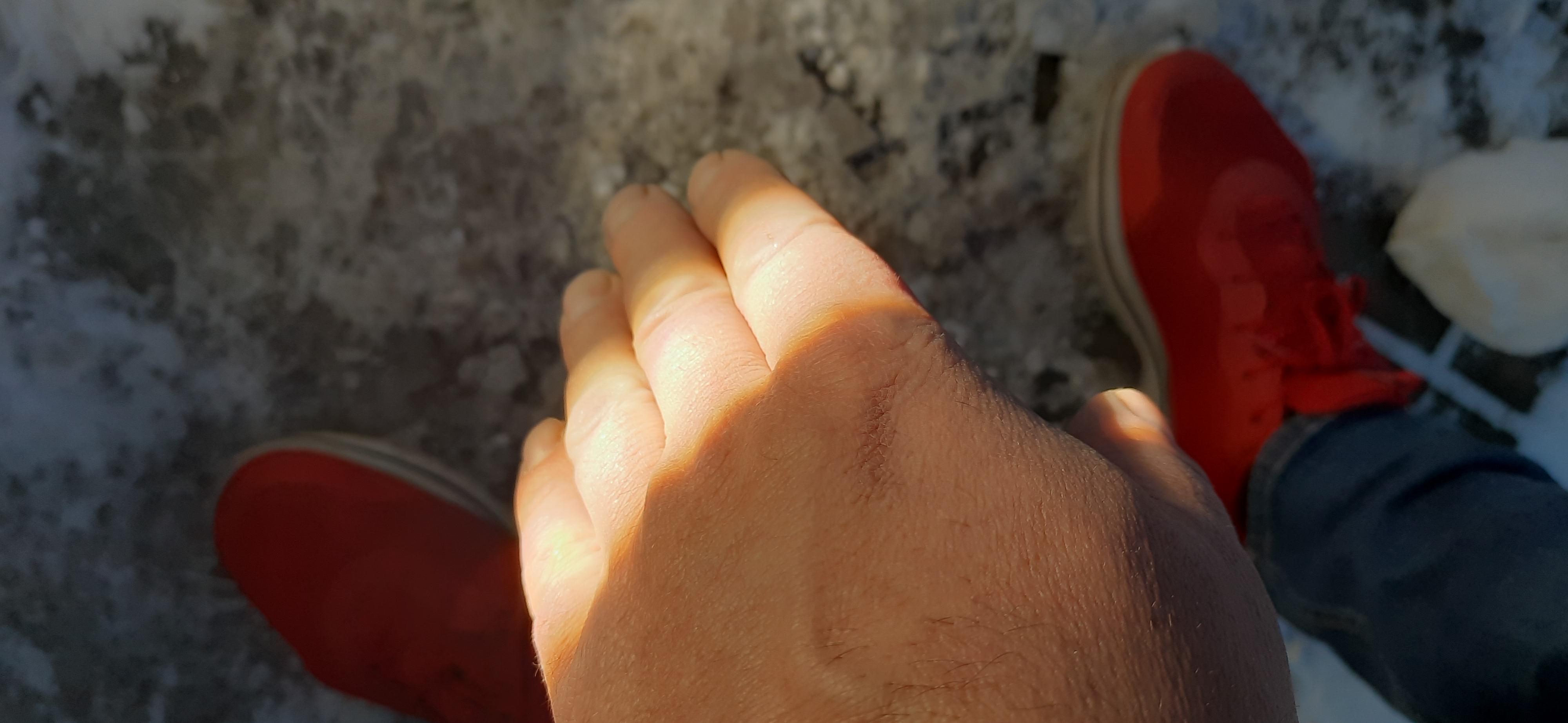 20230218_082654.jpg
