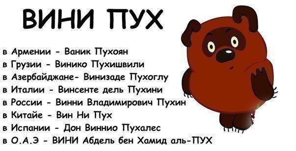 винни.jpg
