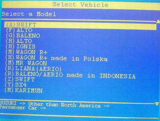 Suzuki pass carm.jpg