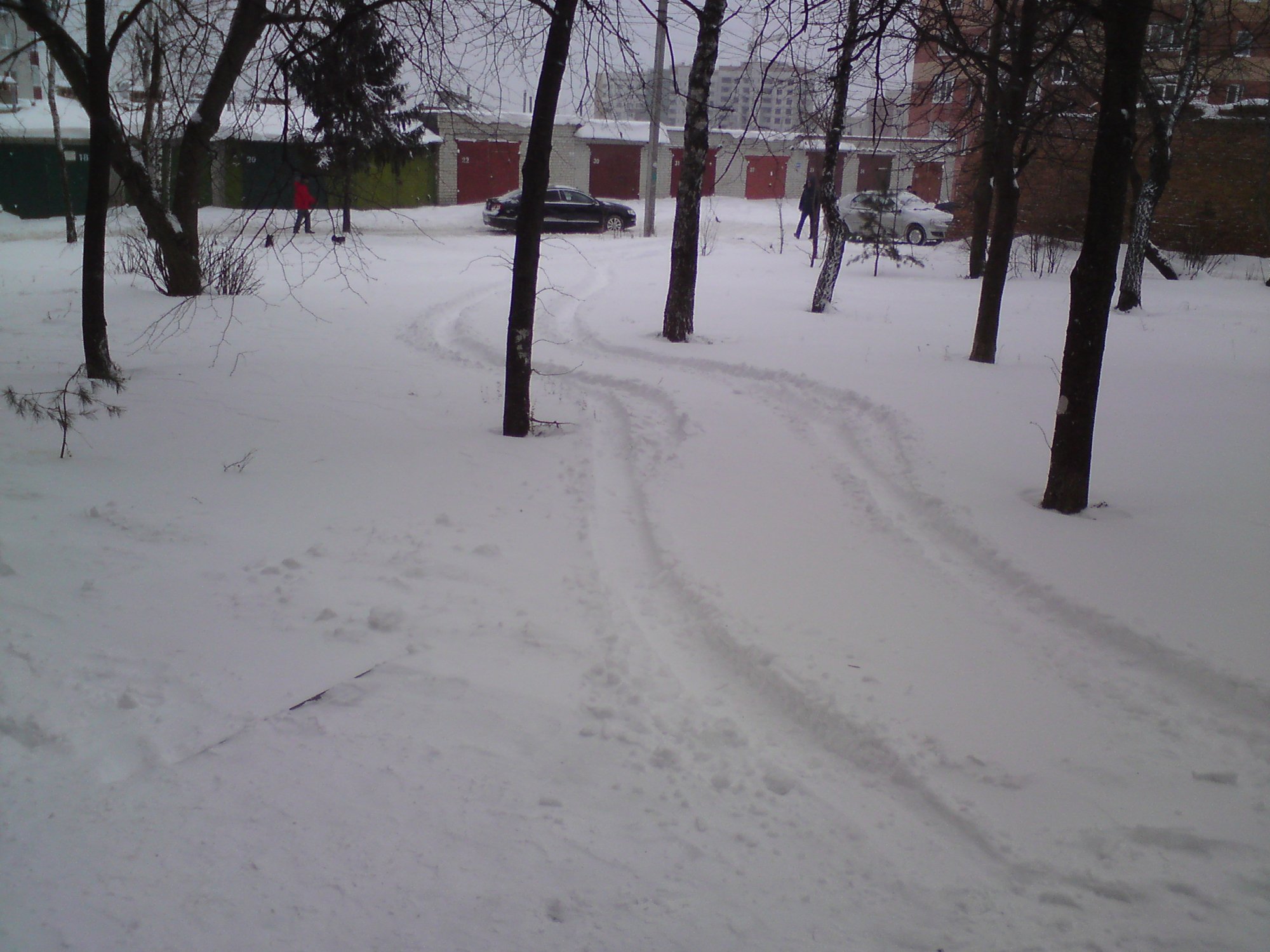 DSC01530.JPG