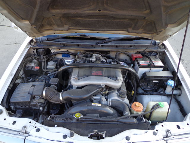 59725243.jpg