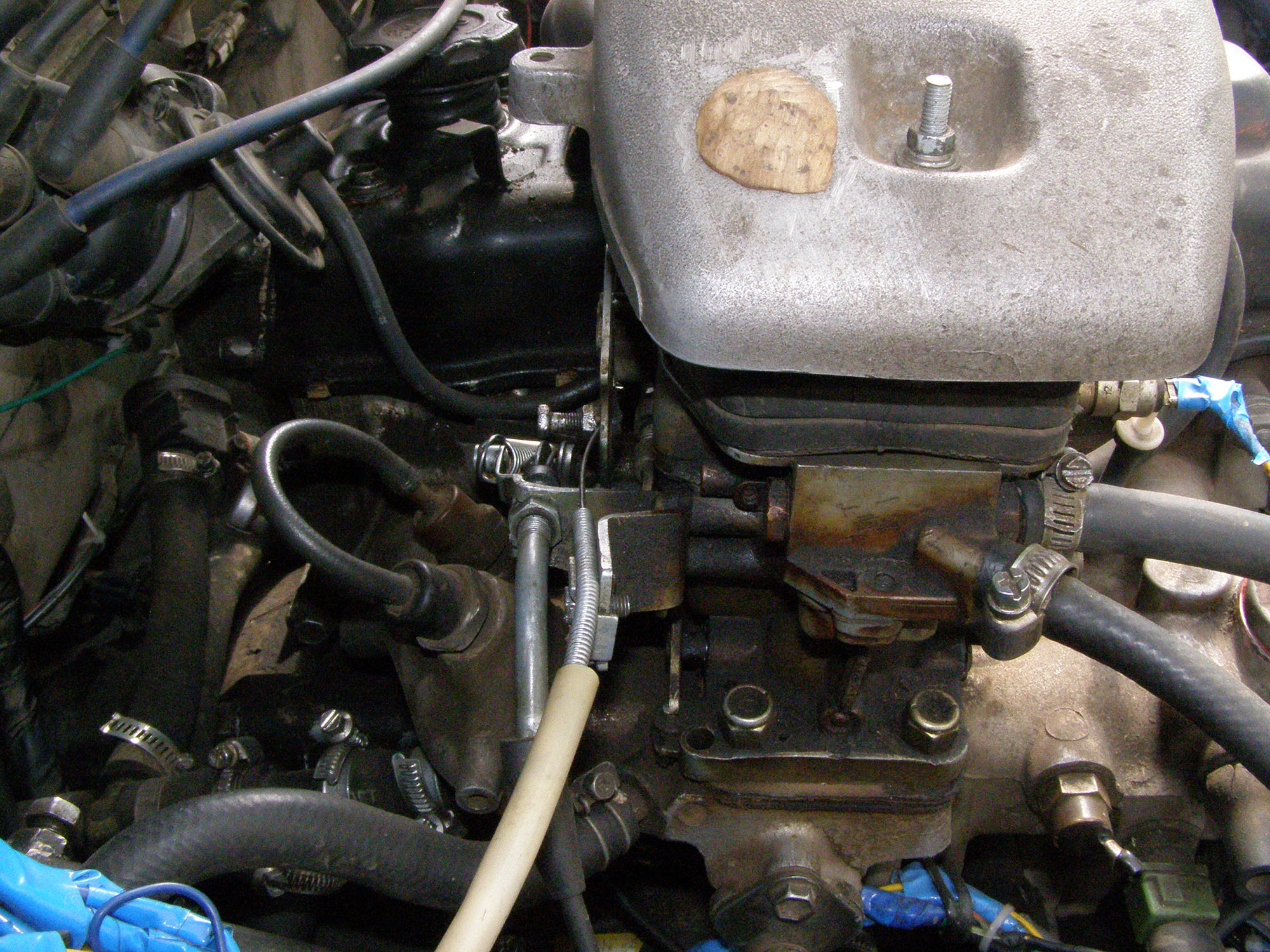 P4030002.JPG