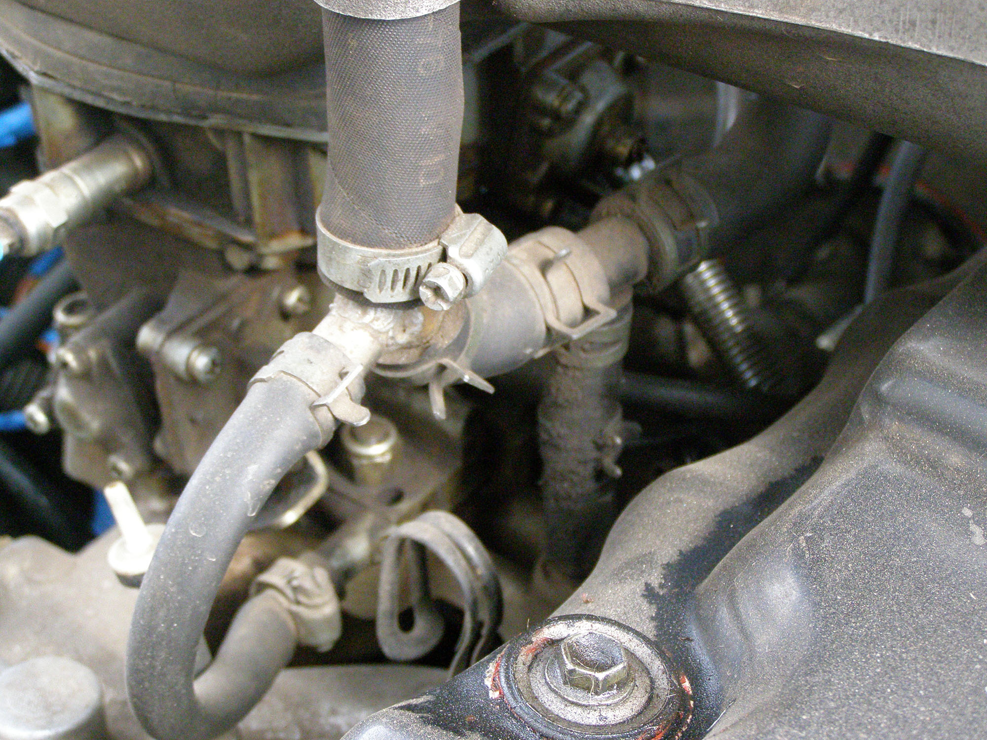 P4030003.JPG