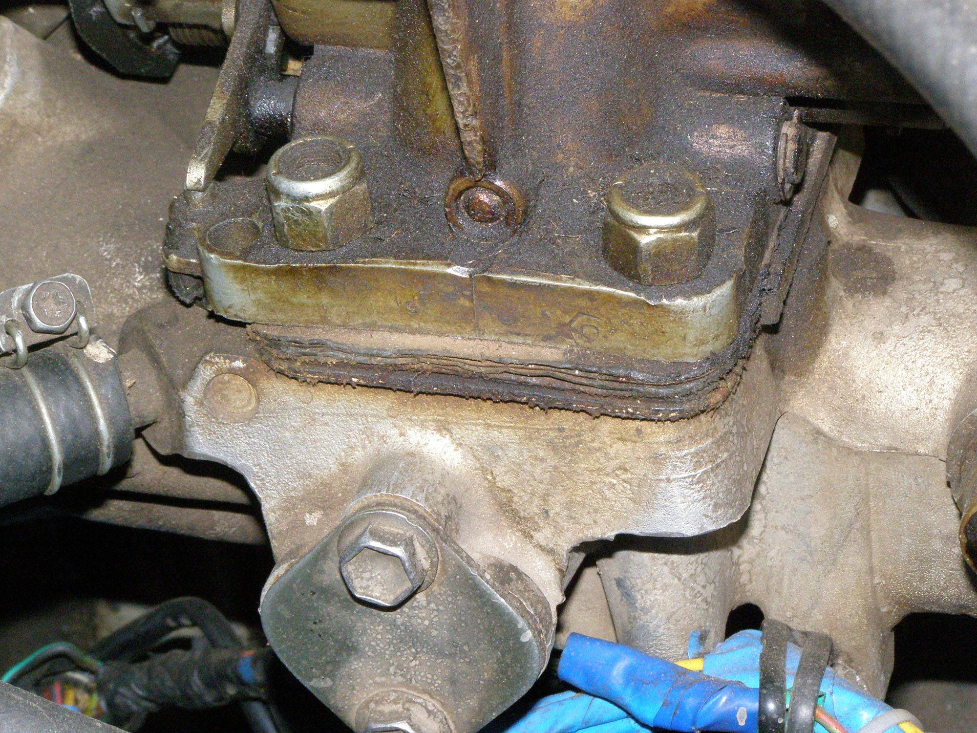 P4030008.JPG