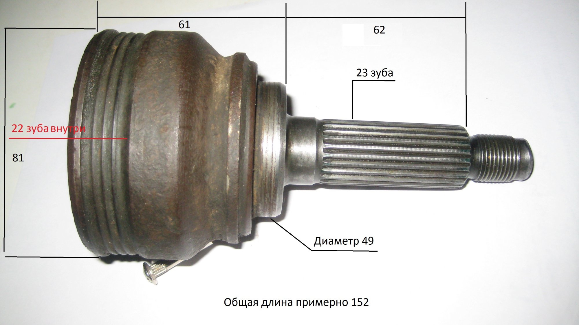 Щрус наружний.jpg