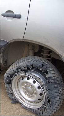 SS852786.JPG