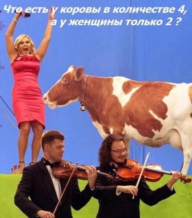 becti_net_r975811d11t84552n.jpg
