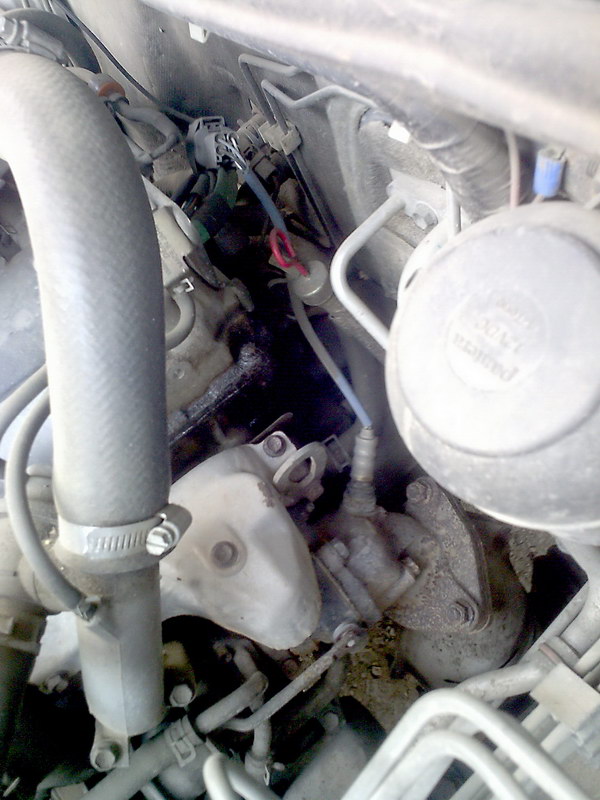 IMG_20130708_184519.JPG