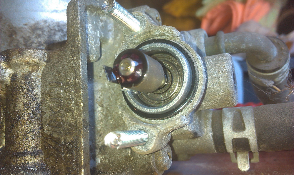 IMAG0860.jpg