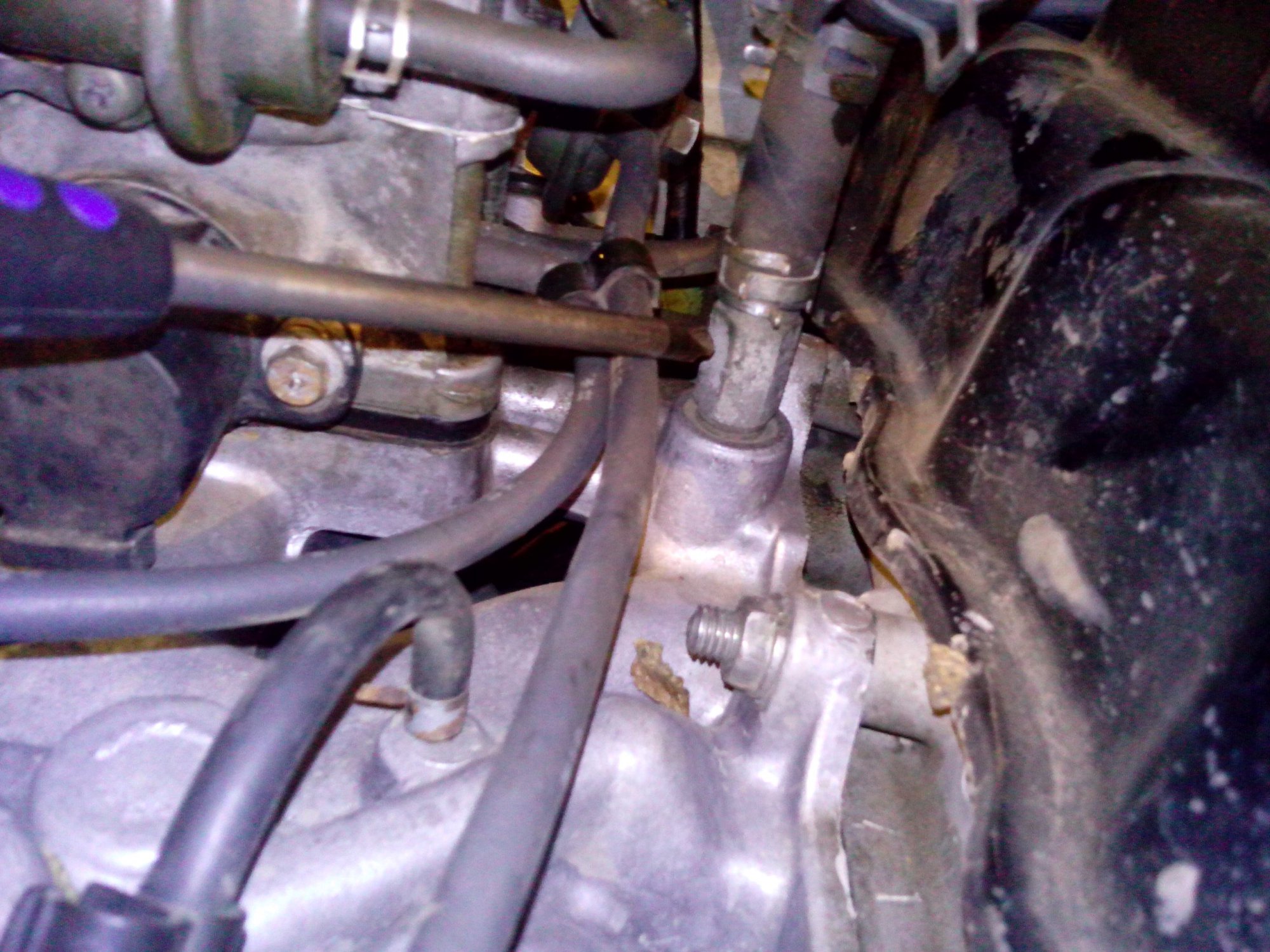 IMG_20131009_224727.jpg