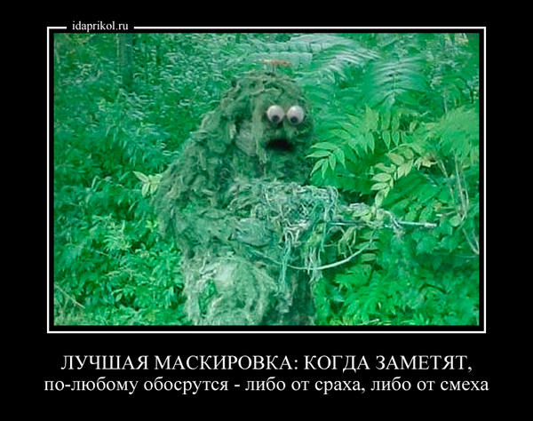 07.jpg