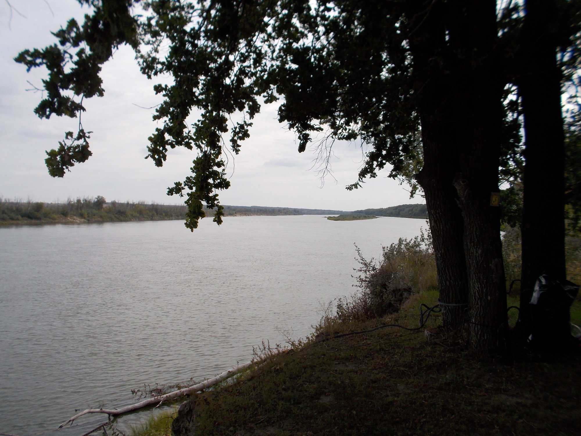 DSCN0396.JPG