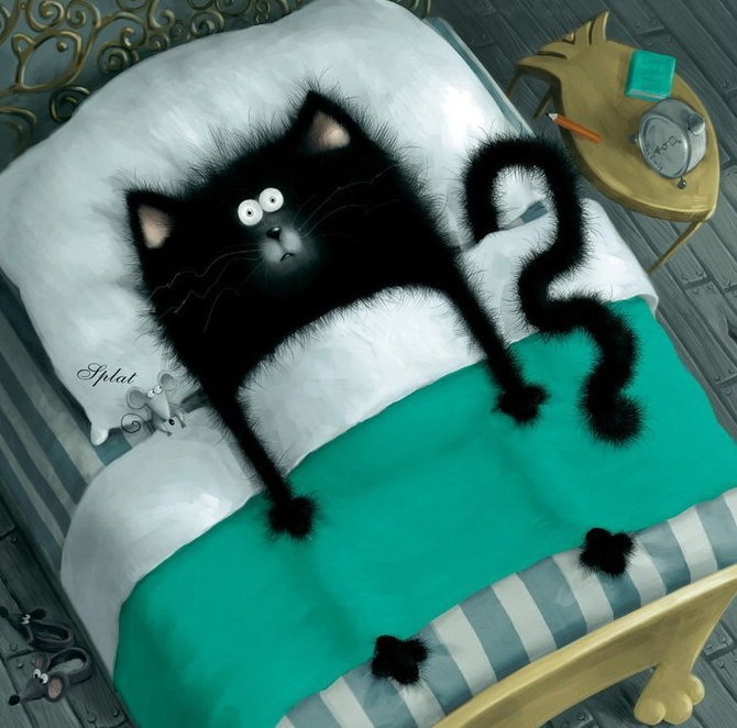 image.jpg
